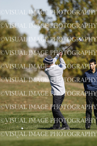 ILGF_15_T303067