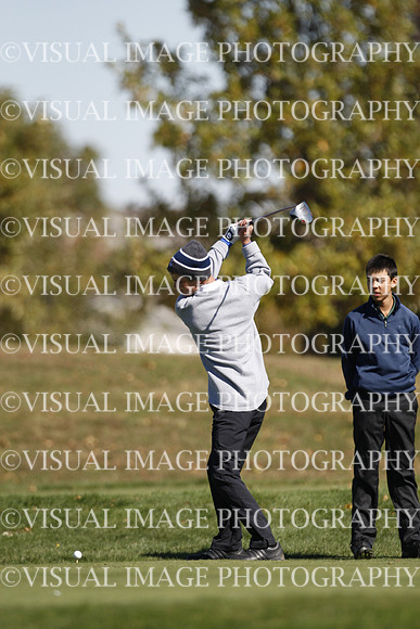 ILGF_15_T303068