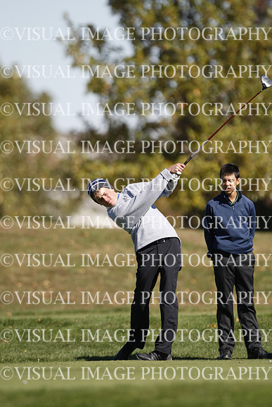 ILGF_15_T303072
