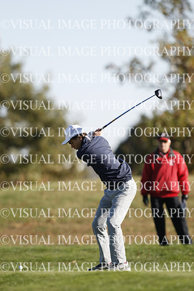 ILGF_15_T307005