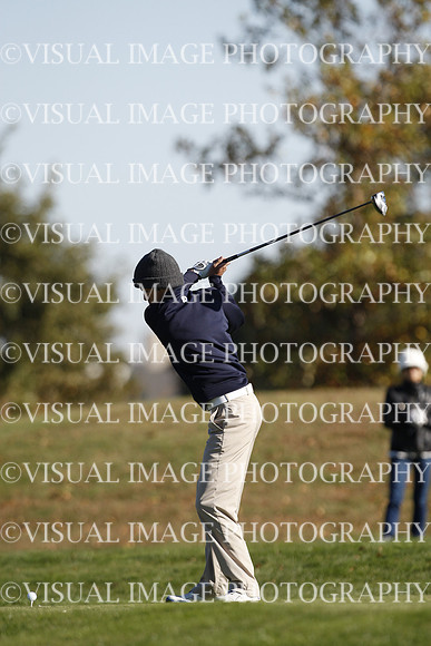 ILGF_15_T307029