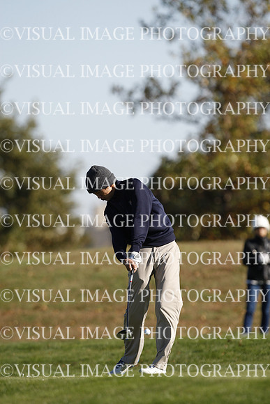ILGF_15_T307032