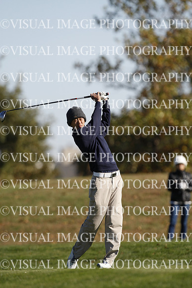 ILGF_15_T307036