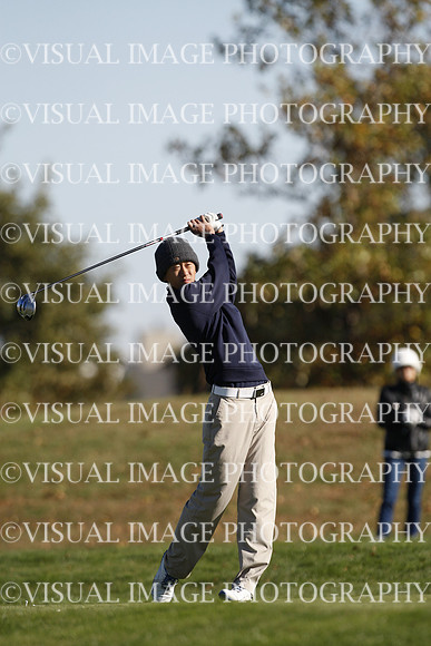 ILGF_15_T307037