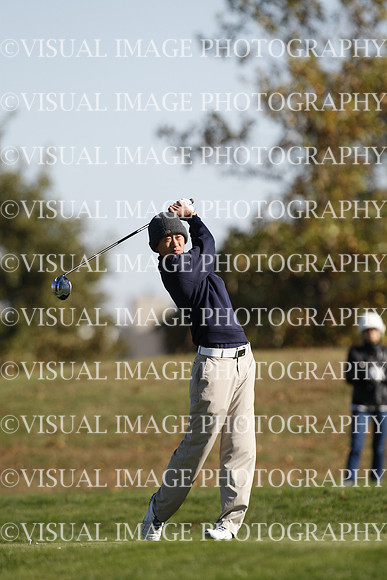 ILGF_15_T307038
