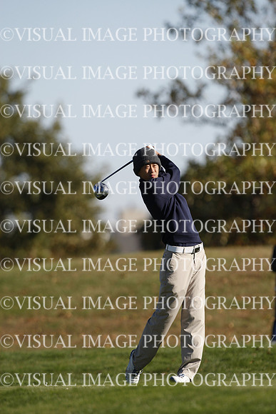 ILGF_15_T307041
