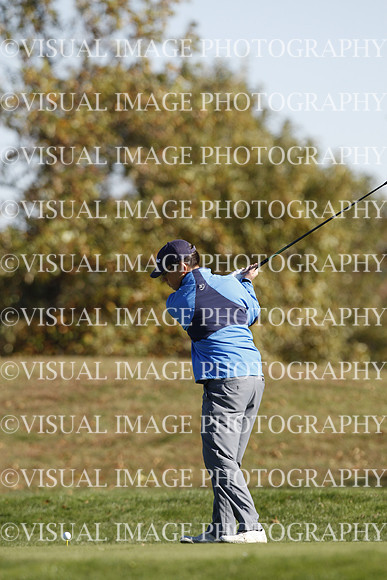 ILGF_15_T307043