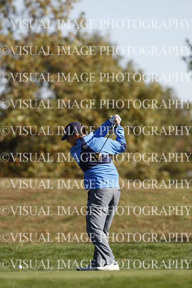 ILGF_15_T307045