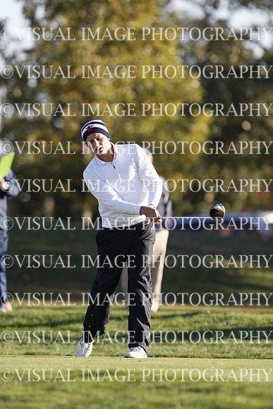 ILGF_15_T310014