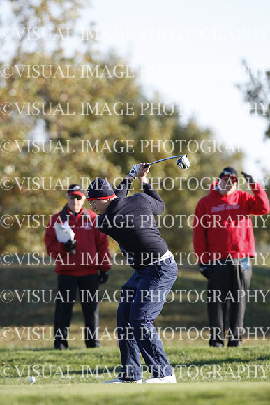 ILGF_15_T310017