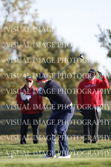 ILGF_15_T310018