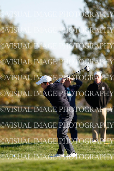 ILGF_15_T310028