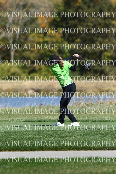 ILGFG_15_IND10030