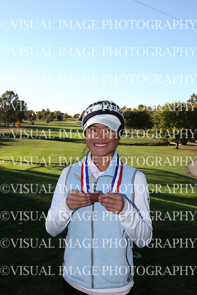 ILGFG_15_A2013