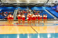 BMC26_LCOMP_2010