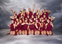 BMC26_LDANCE_2002