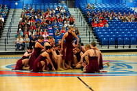 BMC26_LDANCE_2013