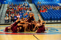 BMC26_LDANCE_2015