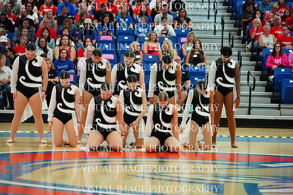 BMC26_SDANCE_2010