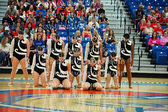 BMC26_SDANCE_2011