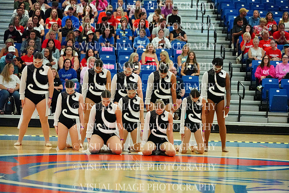 BMC26_SDANCE_2012
