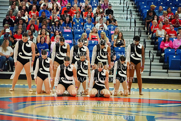 BMC26_SDANCE_2013