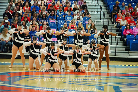 BMC26_SDANCE_2014