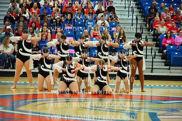 BMC26_SDANCE_2015