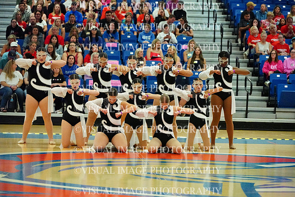 BMC26_SDANCE_2016