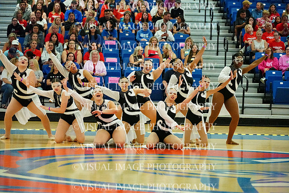 BMC26_SDANCE_2019