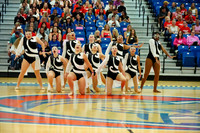 BMC26_SDANCE_2020