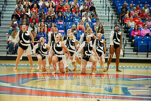 BMC26_SDANCE_2021