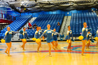 BMC26_VGD_03012