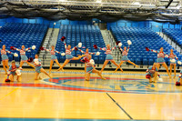 BMC26_VGD_04013
