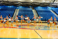 BMC26_VGD_04014