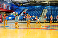 BMC26_VGD_04015