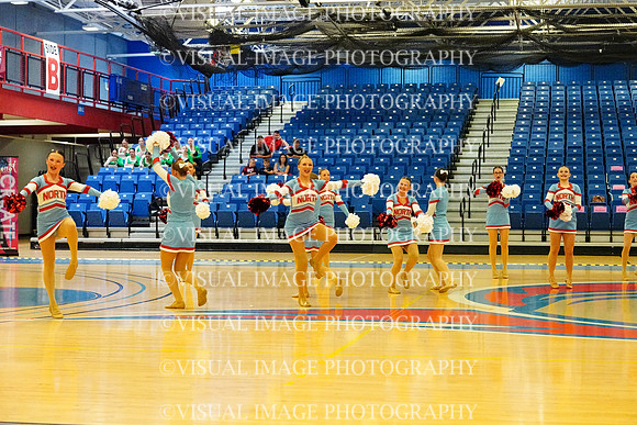 BMC26_VGD_04015