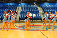 BMC26_VGD_04016