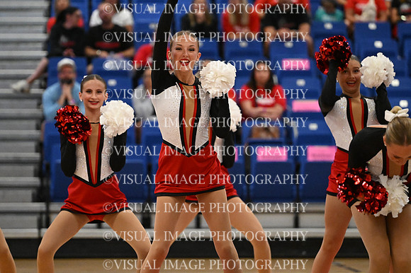 BMC26_VGD_07025