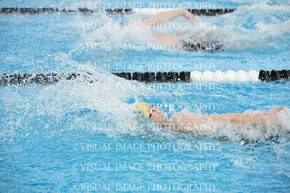 ILSW25_1BACK_F0034