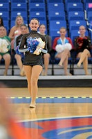 BMC26_POMSOLO_01010