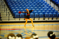BMC26_POMSOLO_04010