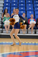 BMC26_POMSOLO_05019