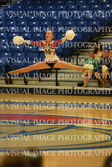 BMC26_POMSOLO_06018