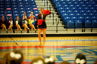 BMC26_POMSOLO_11013