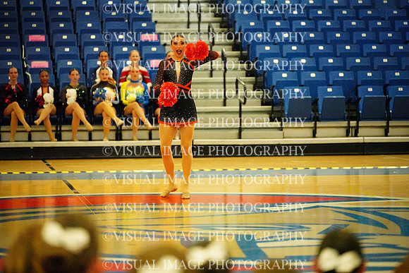 BMC26_POMSOLO_11013