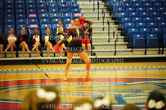 BMC26_POMSOLO_11015