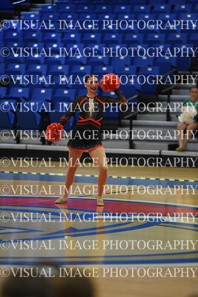 BMC26_POMSOLO_11028
