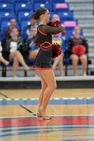 BMC26_POMSOLO_14015