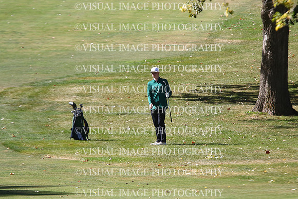 ILGF_24_T202013